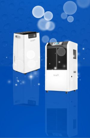 Máy hút ẩm không khí