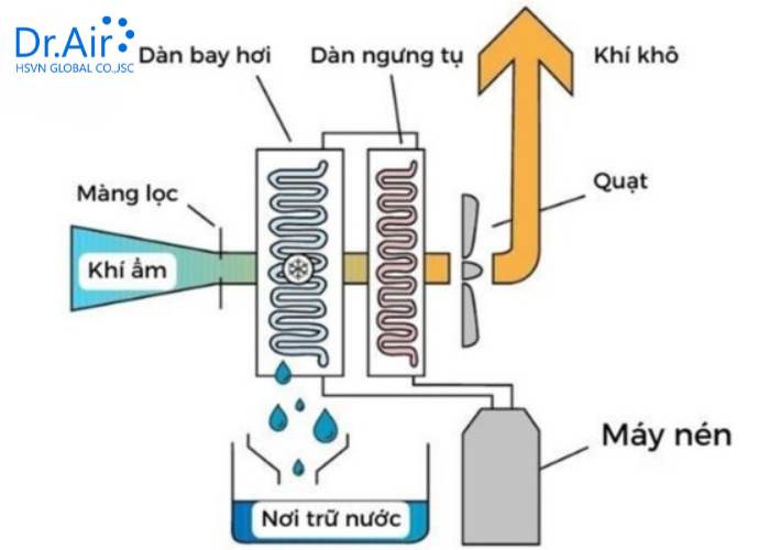Cấu tạo máy hút ẩm chi tiết
