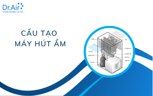 Cấu tạo máy hút ẩm