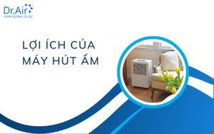 Lợi ích của máy hút ẩm