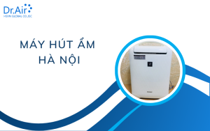 Máy hút ẩm Hà Nội