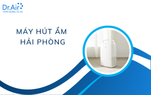 Máy hút ẩm Hải Phòng