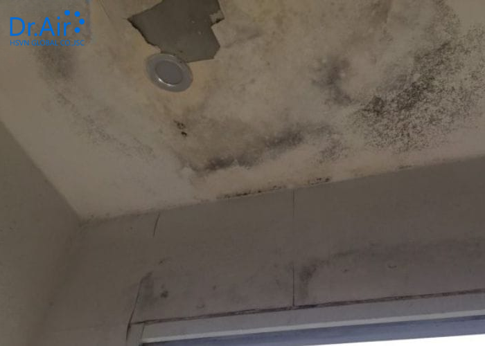 Thực trạng ẩm mốc trong các căn hộ chung cư hiện nay