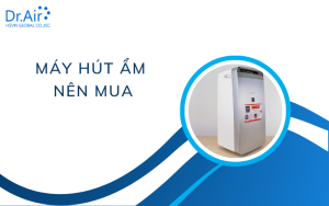 Máy hút ẩm nên mua