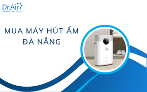 Mua máy hút ẩm Đà Nẵng