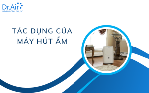 Tác dụng của máy hút ẩm