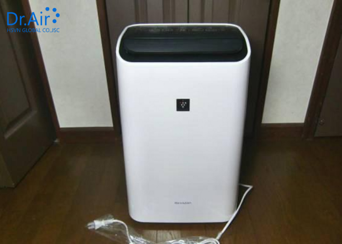 Cách chọn máy hút ẩm phù hợp cho từng không gian