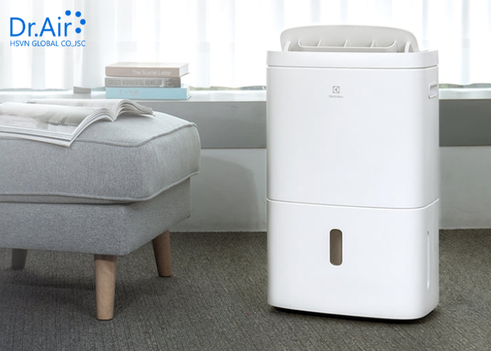 Cách chọn mua máy hút ẩm TPHCM phù hợp