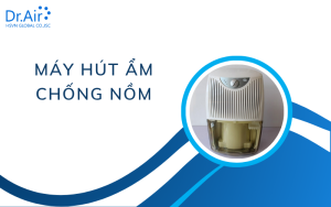 máy hút ẩm chống nồm
