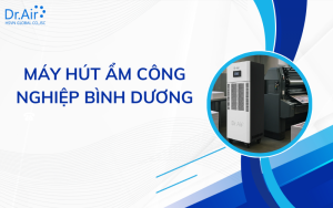 Máy hút ẩm công nghiệp Bình Dương