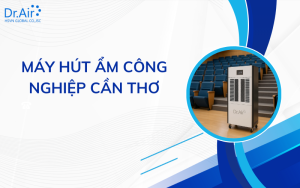 Máy hút ẩm công nghiệp Cần Thơ