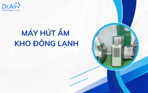 máy hút ẩm kho đông lạnh