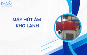 máy hút ẩm kho lạnh