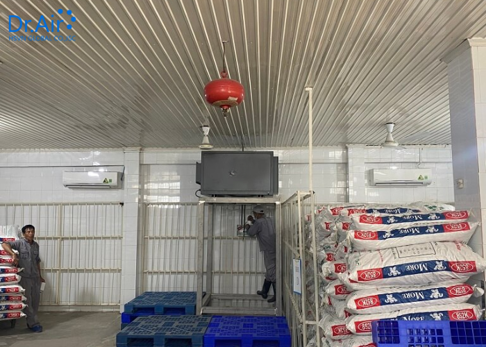 Khi nào doanh nghiệp nên đầu tư máy hút ẩm nhà kho?