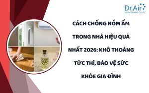 Cách chống nồm ẩm trong nhà