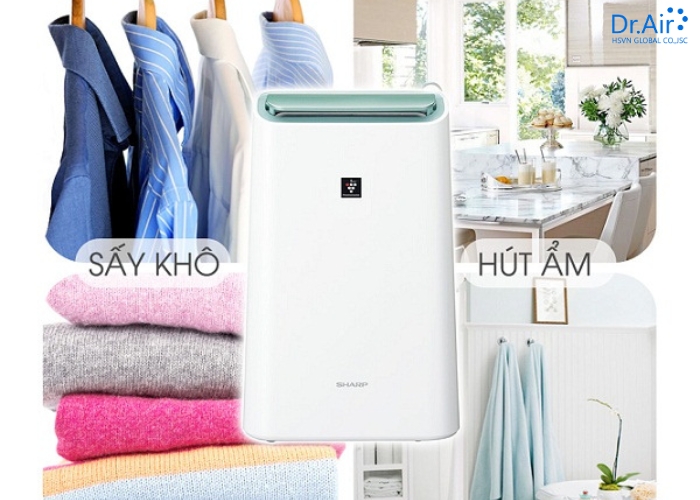 Những lưu ý khi mua máy hút ẩm (F.A.Q)