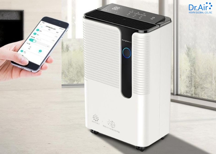 Một số loại hạt và máy hút ẩm phổ biến hiện nay (cập nhật 2026)