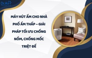 Máy hút ẩm cho nhà phố ẩm thấp