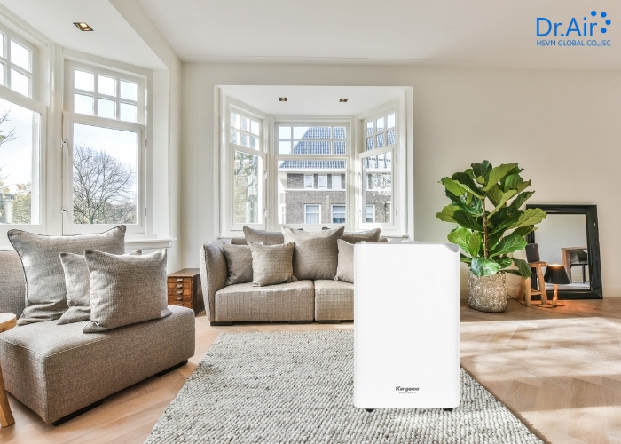 Tiêu chí chọn mua máy hút ẩm cho nhà phố ẩm thấp