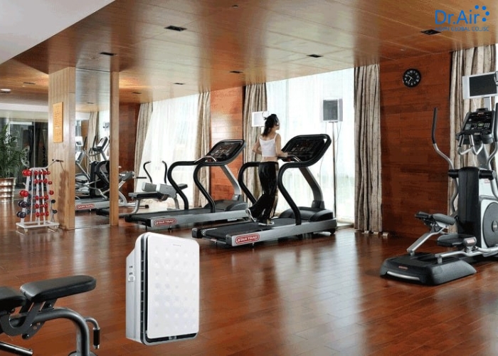 Các tiêu chí "vàng" khi chọn máy hút ẩm cho phòng Gym