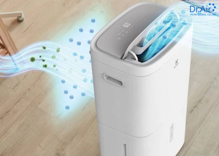 Những đối tượng cần lưu ý đặc biệt khi dùng máy hút ẩm