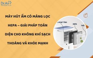 Máy hút ẩm có màng lọc HEPA