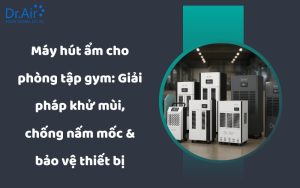 Máy hút ẩm dùng cho phòng tập gym