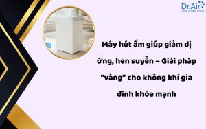 Máy hút ẩm giúp giảm dị ứng, hen suyễn