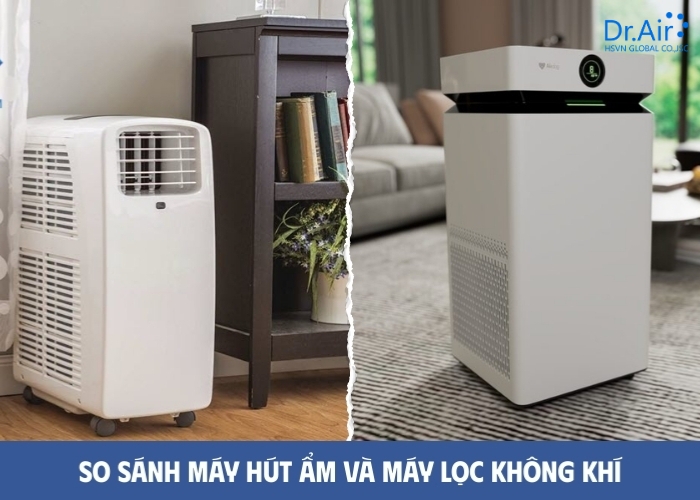 So sánh: Máy hút ẩm vs Máy lọc không khí (Thiết bị nào quan trọng hơn?)