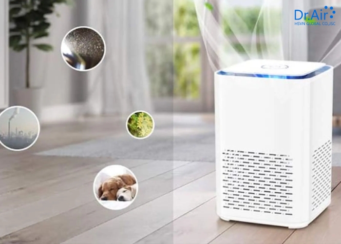 Câu hỏi thường gặp về máy hút ẩm giúp giảm dị ứng, hen suyễn
