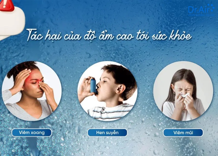 Tại sao độ ẩm cao là “kẻ thù” của người bị hen suyễn và dị ứng?