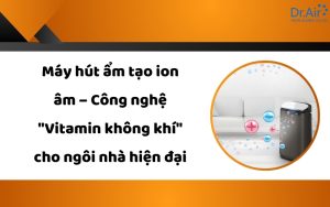 Máy hút ẩm tạo ion âm
