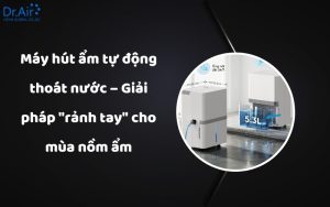 Máy hút ẩm tự động thoát nước