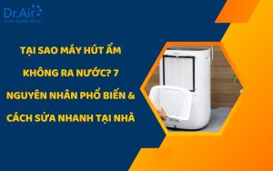Tại sao máy hút ẩm không ra nước