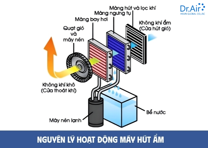 Cơ chế ngưng tụ nước của máy hút ẩm – Hiểu để bắt bệnh chính xác
