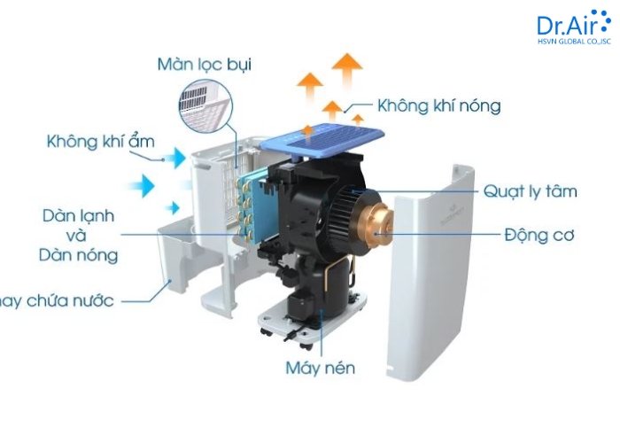 Cách vệ sinh và bảo trì máy hút ẩm tại nhà
