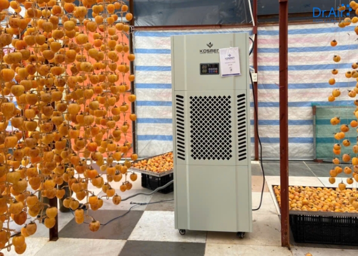 Giải đáp thắc mắc về máy hút ẩm sấy dược liệu