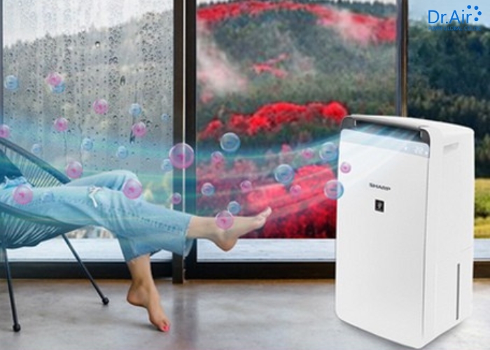 Trải nghiệm thực tế từ người dùng: Review máy hút ẩm Sharp có tốt không?