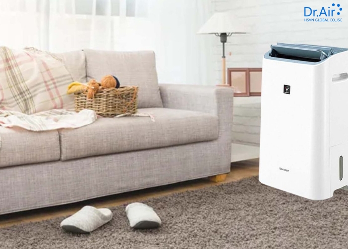 Giải đáp các câu hỏi thường gặp về máy hút ẩm Sharp