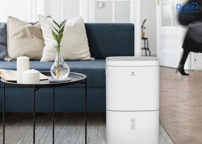 Nên chọn Sharp hay Electrolux cho mùa nồm 2026?