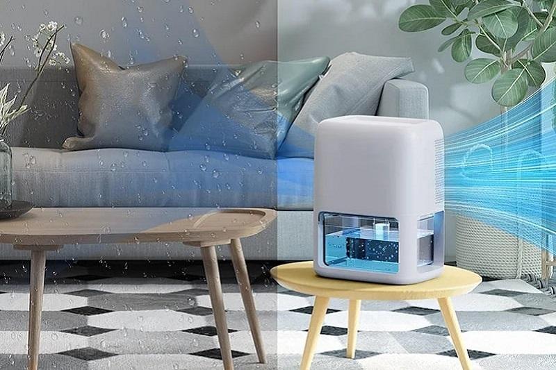 2. Lợi Ích Sức Khỏe Vượt Trội Khi Sử Dụng Máy Hút Ẩm Gia Đình
