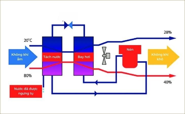 Sự thay đổi nhiệt độ và độ ẩm của không khí khi đi qua máy hút ẩm