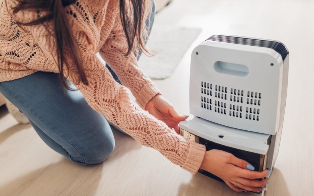 Nước ngưng được thu về khay chứa của máy hút ẩm